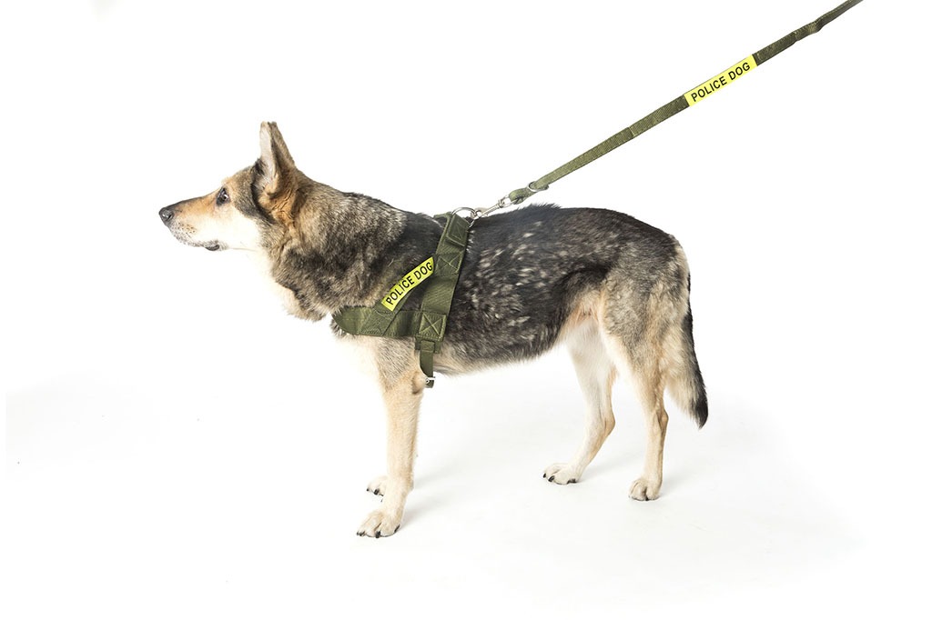 Ceinture de sécurité réglable pour chien, harnais de sécurité de voiture de  chien en nylon, ceintures de sécurité de véhicule de retenue pour chiens