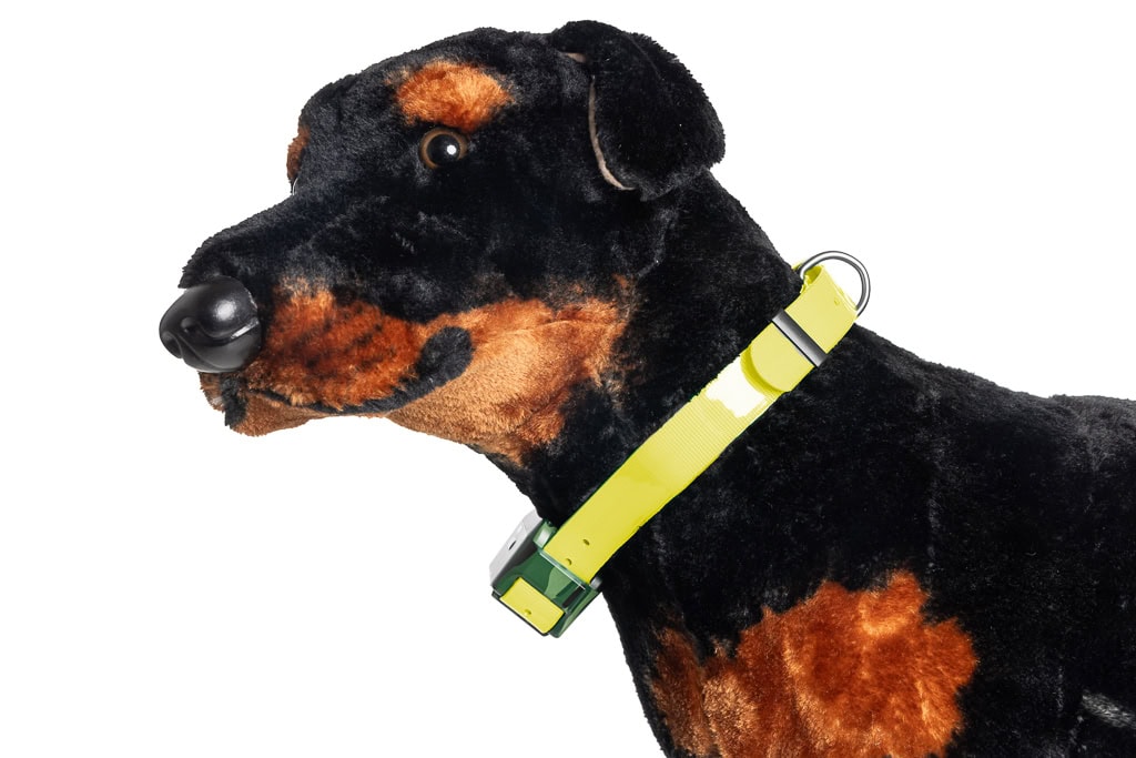 GPS Dog Tracker 4G Hunting Dogs GPS IK 122T with Collar - Lemon
