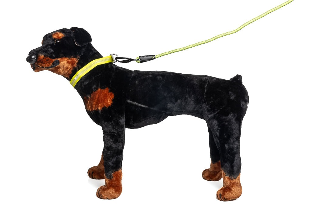 Guinzaglio per cani 3M Scotchlite in colori fluorescenti giallo